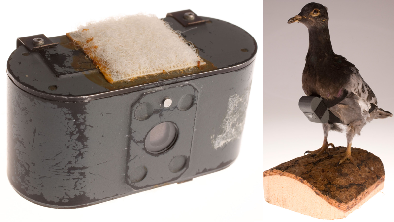 Illustration for article titled 13 Hidden Spy Cams That Might Be Watching You Right Now